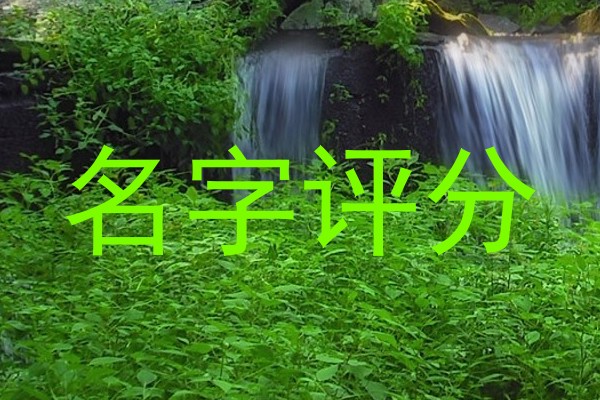 名字评分