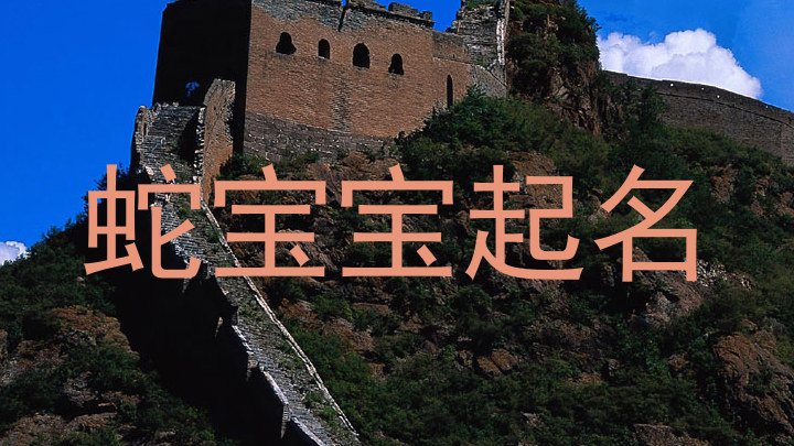蛇宝宝起名