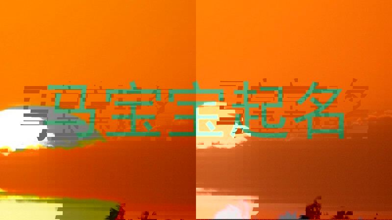 田姓