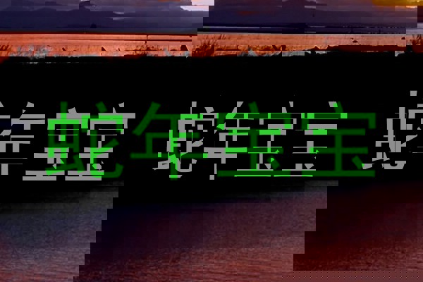 蛇年宝宝