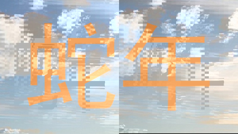 蛇年