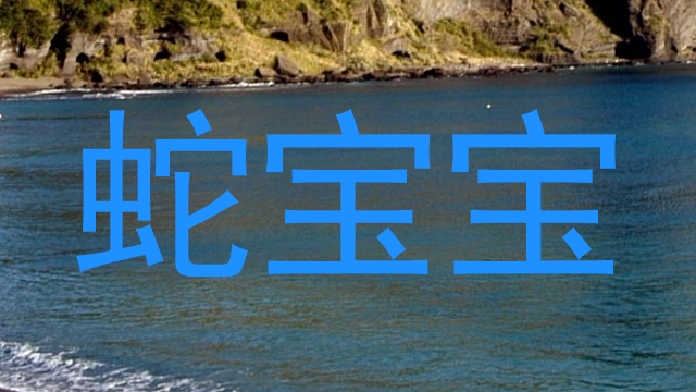 蛇宝宝