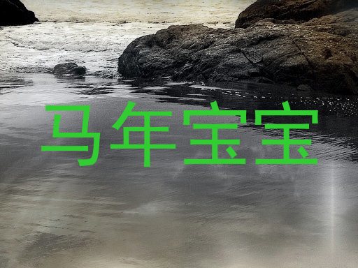 马年宝宝
