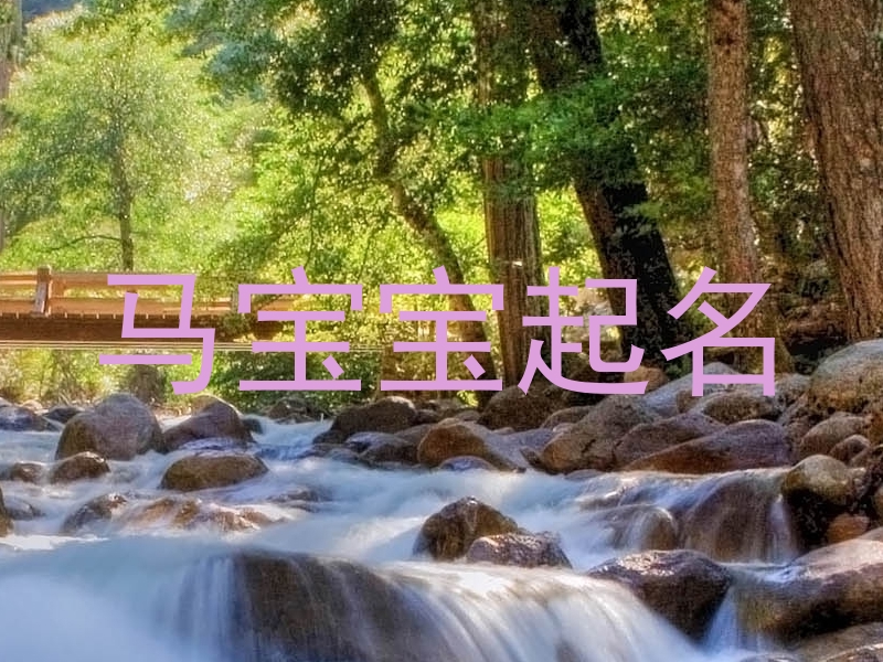 马宝宝