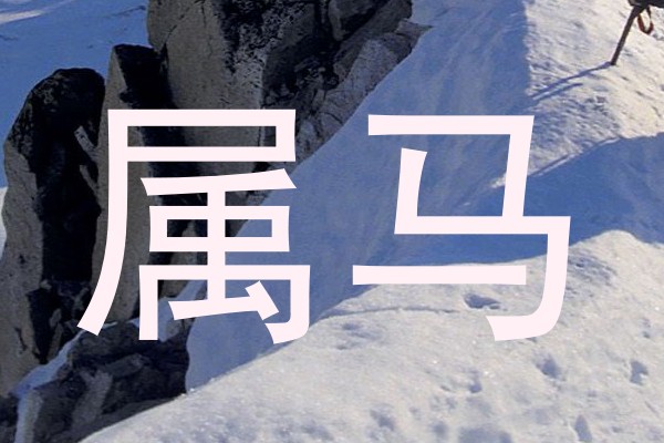 属马