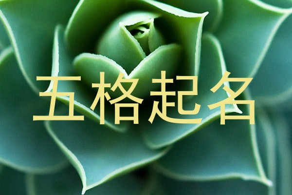 五格起名