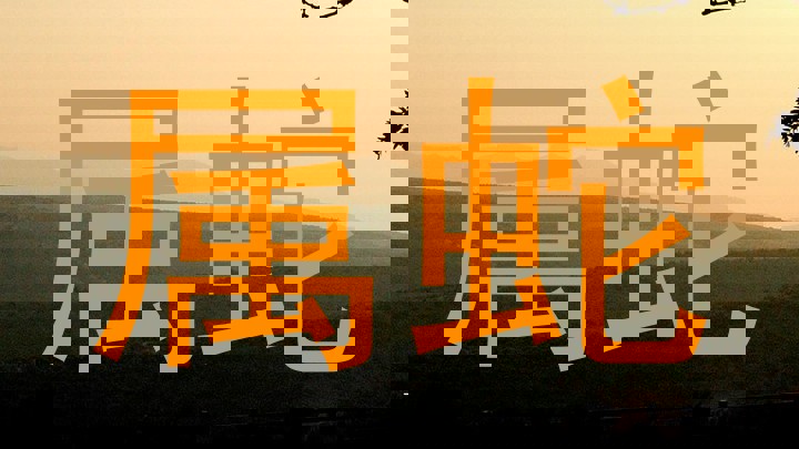 属蛇