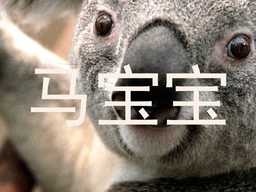 马宝宝