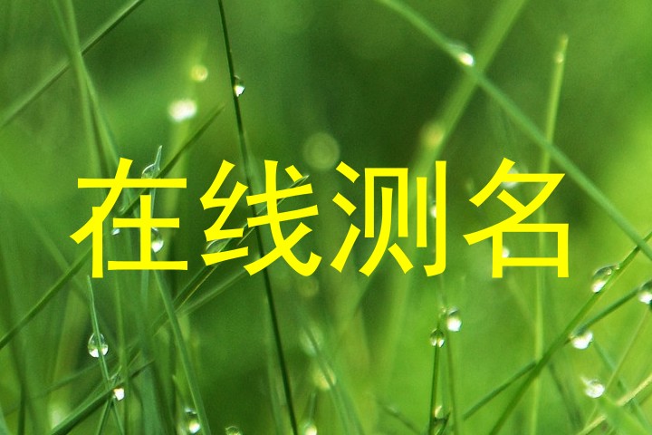 在线测名
