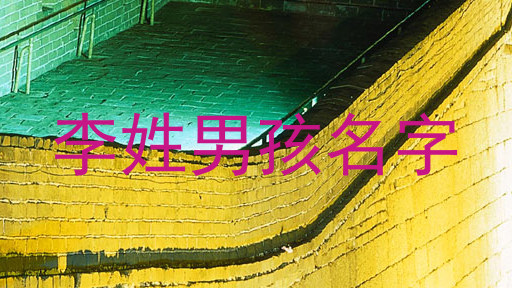 李姓男孩名字