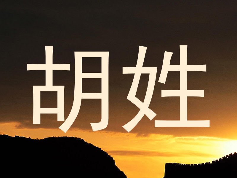 胡姓
