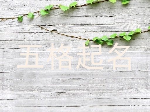 五格起名