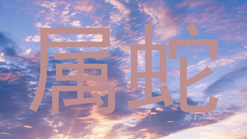 属蛇