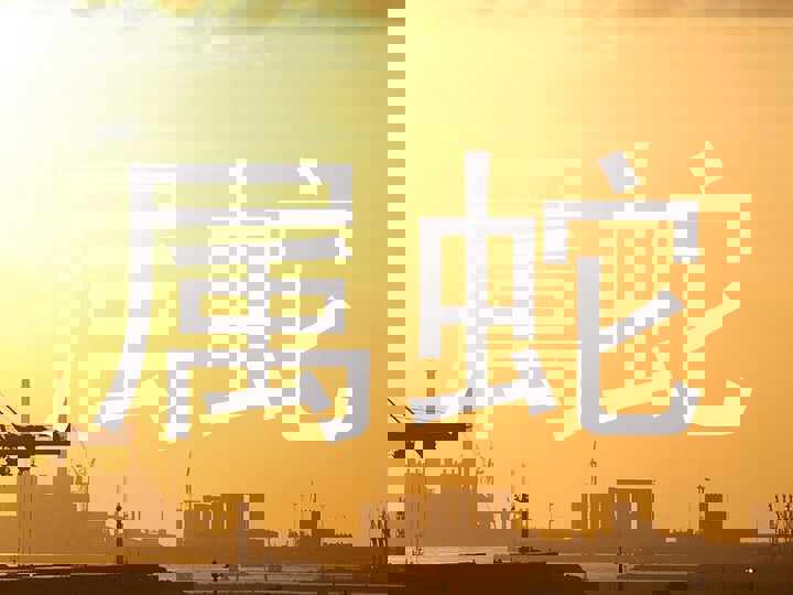 属蛇