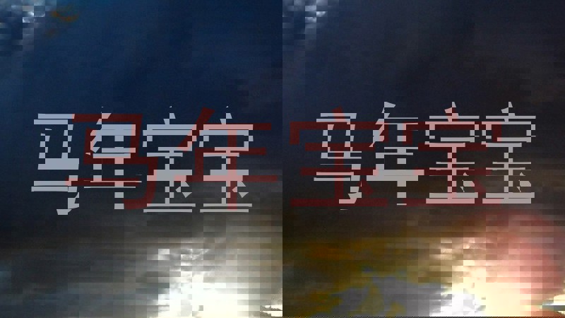 马年宝宝