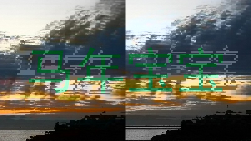 马年宝宝