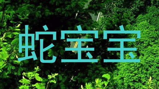 蛇宝宝