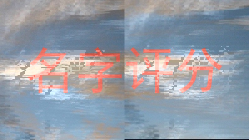 名字评分