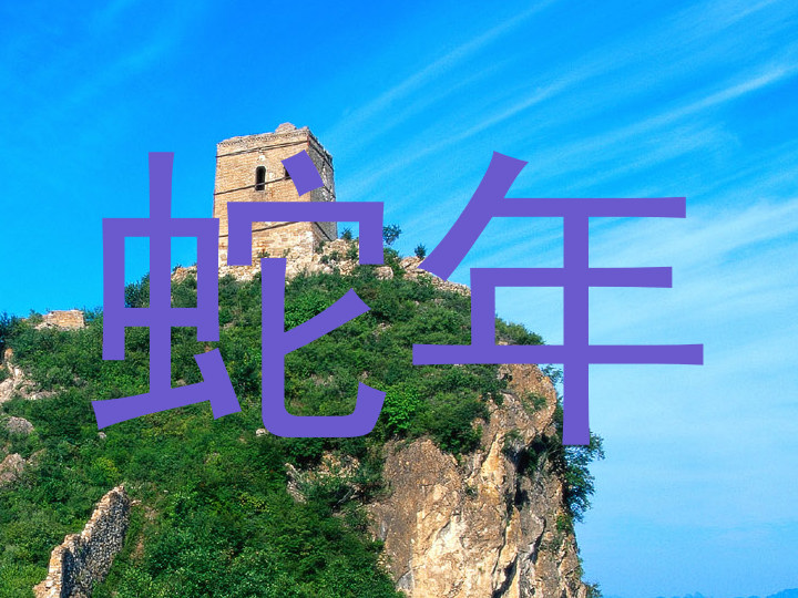 蛇年