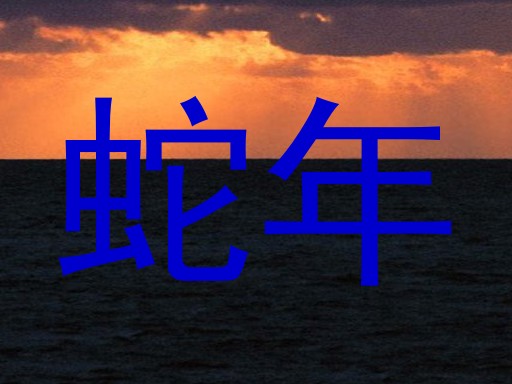 蛇年