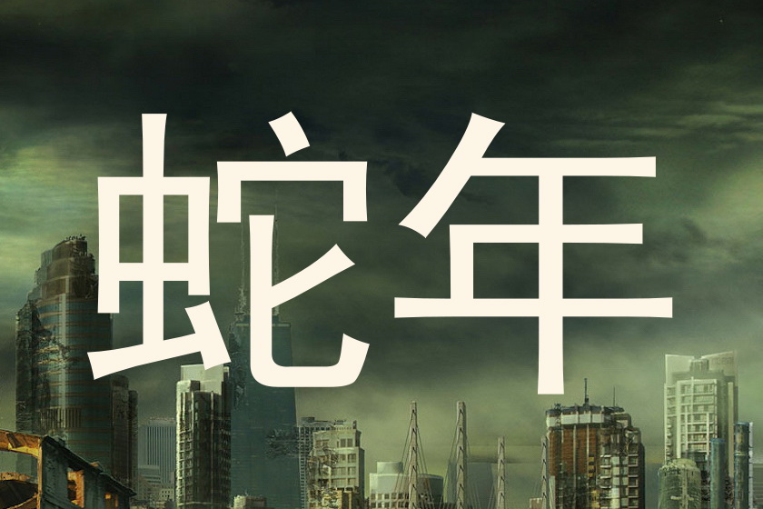 蛇年