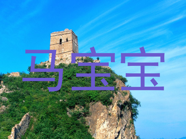 马宝宝