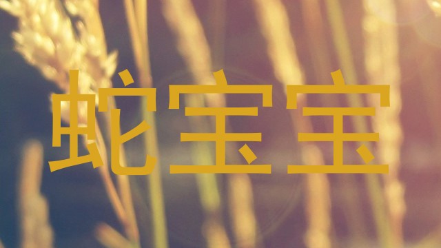蛇宝宝