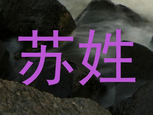 苏姓