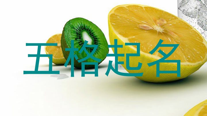 五格起名