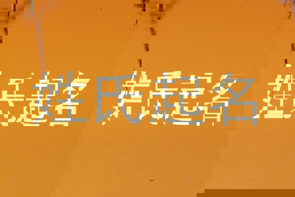 姓氏起名