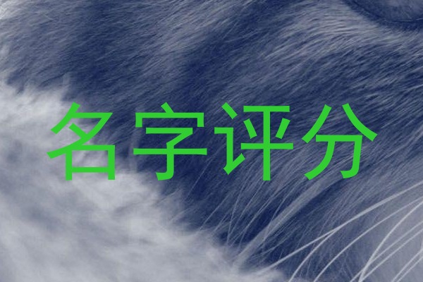 名字评分