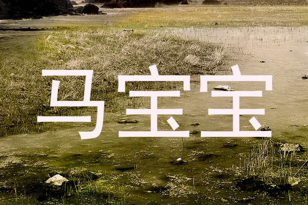 马宝宝