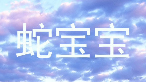 蛇宝宝