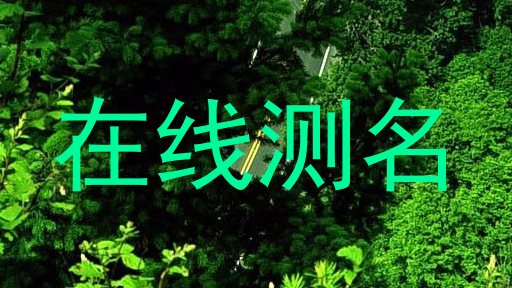 在线测名