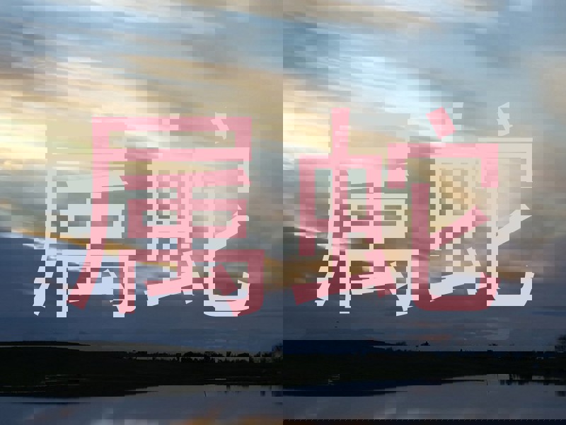 属蛇