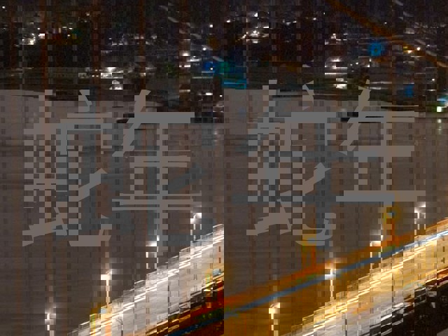 蛇年