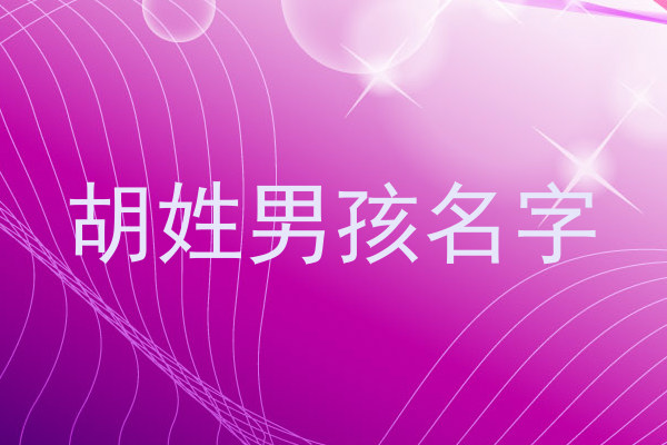 胡姓男孩名字