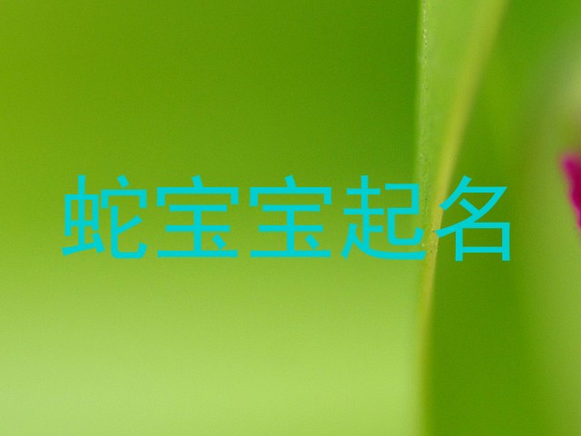 蛇宝宝起名
