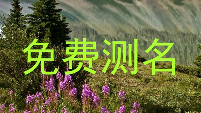 免费测名