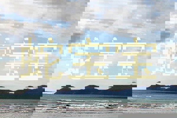 蛇宝宝