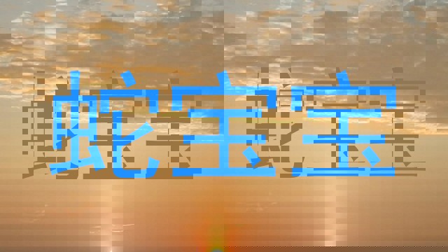 蛇宝宝
