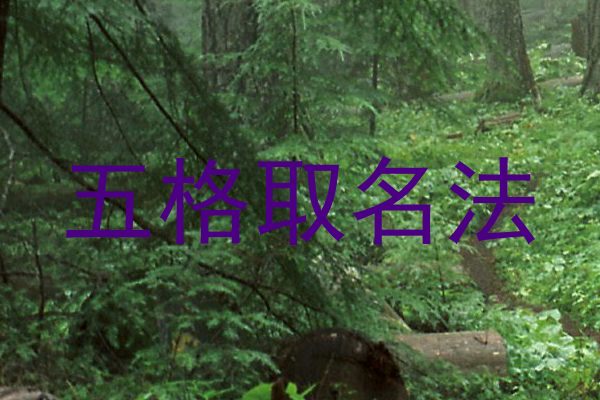 五格取名法