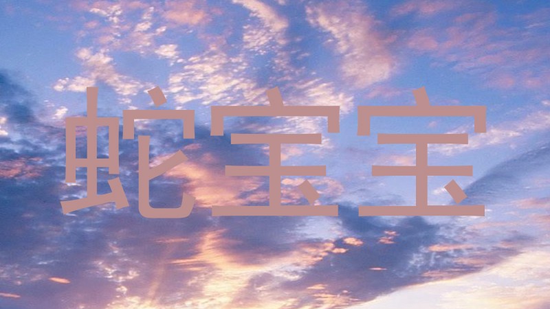 蛇宝宝