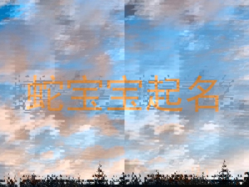 蛇宝宝