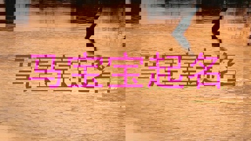董姓