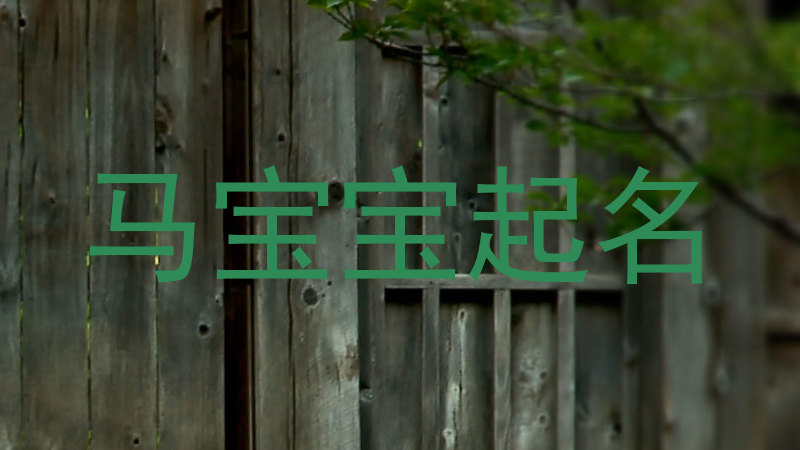 属马