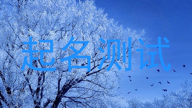 起名测试