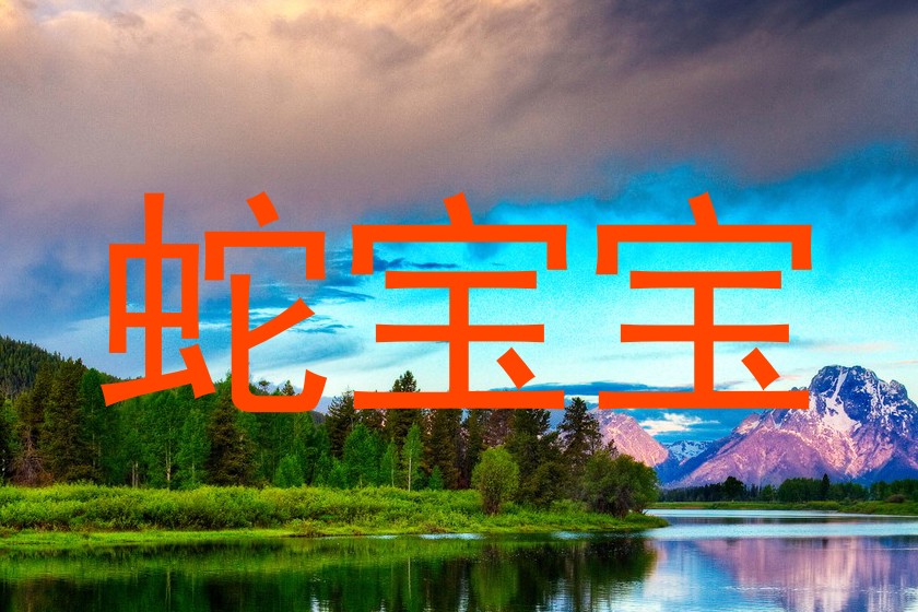 蛇宝宝