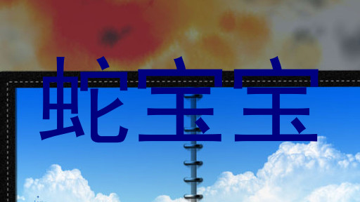蛇宝宝