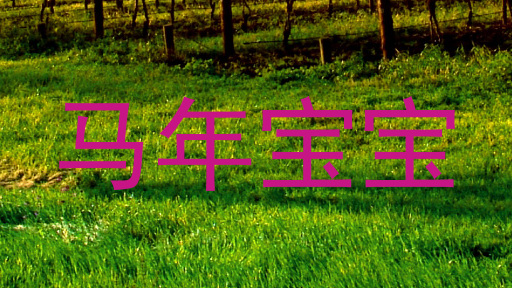 马年宝宝
